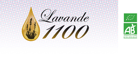 logo-www.lavande1100.com